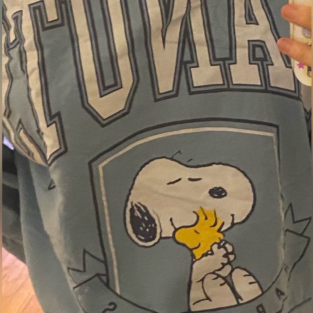 Peanuts sweatershirt (cropped)